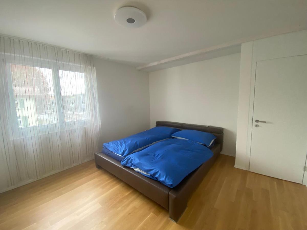 Minergie Apartment Rickenbach